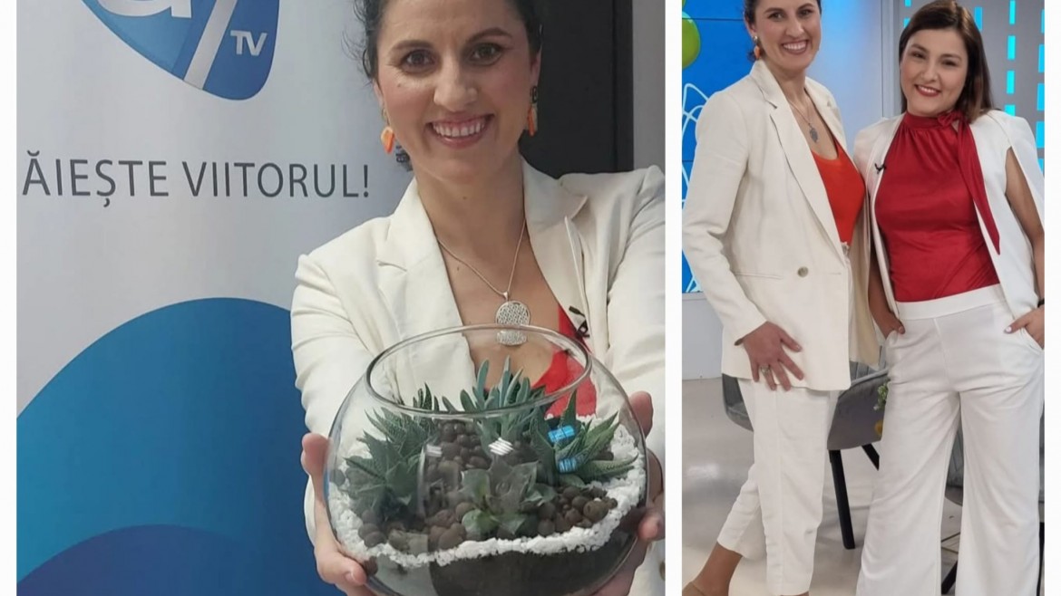 Demonstrație terrariu plante suculente