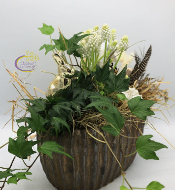 Aranjament plante Paste