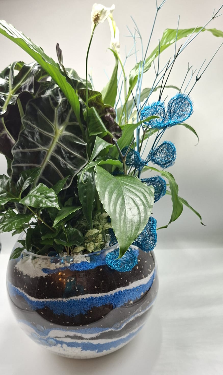 Urban Oxygen – Compoziție verde pentru spații interioare - imagine 3