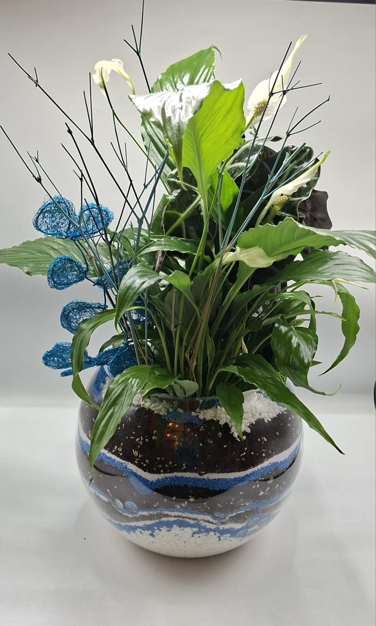 Urban Oxygen – Compoziție verde pentru spații interioare - imagine 2