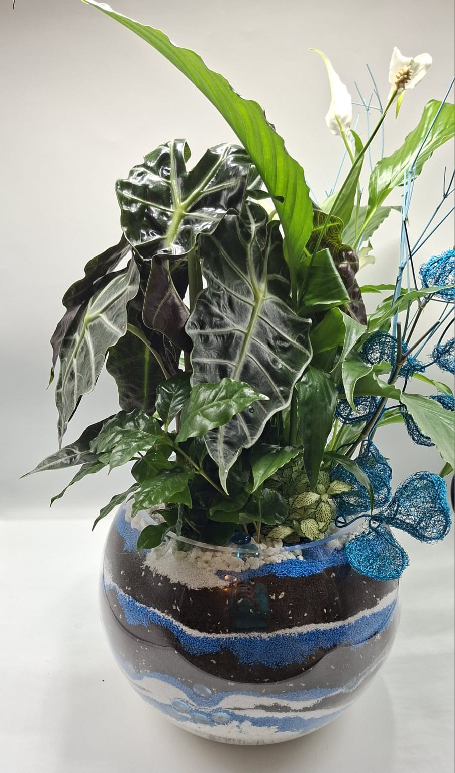 Urban Oxygen – Compoziție verde pentru spații interioare - imagine 5