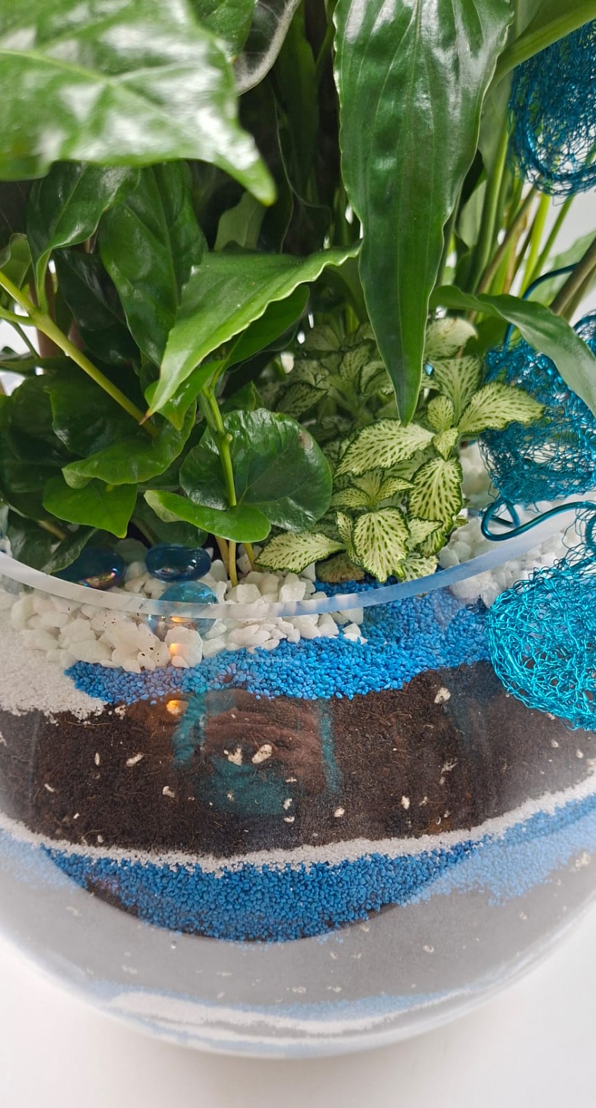 Urban Oxygen – Compoziție verde pentru spații interioare - imagine 4