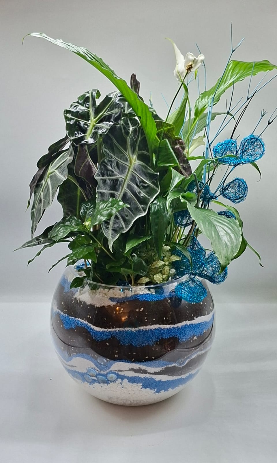 Urban Oxygen – Compoziție verde pentru spații interioare